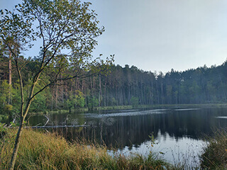 Centrum Edukacji Przyrodniczej Parku Narodowego  „Bory Tucholskie”  w  Chocińskim Młynie